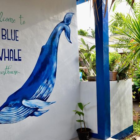 Blue Whale Guesthouse Gili Trawangan Kültér fotó